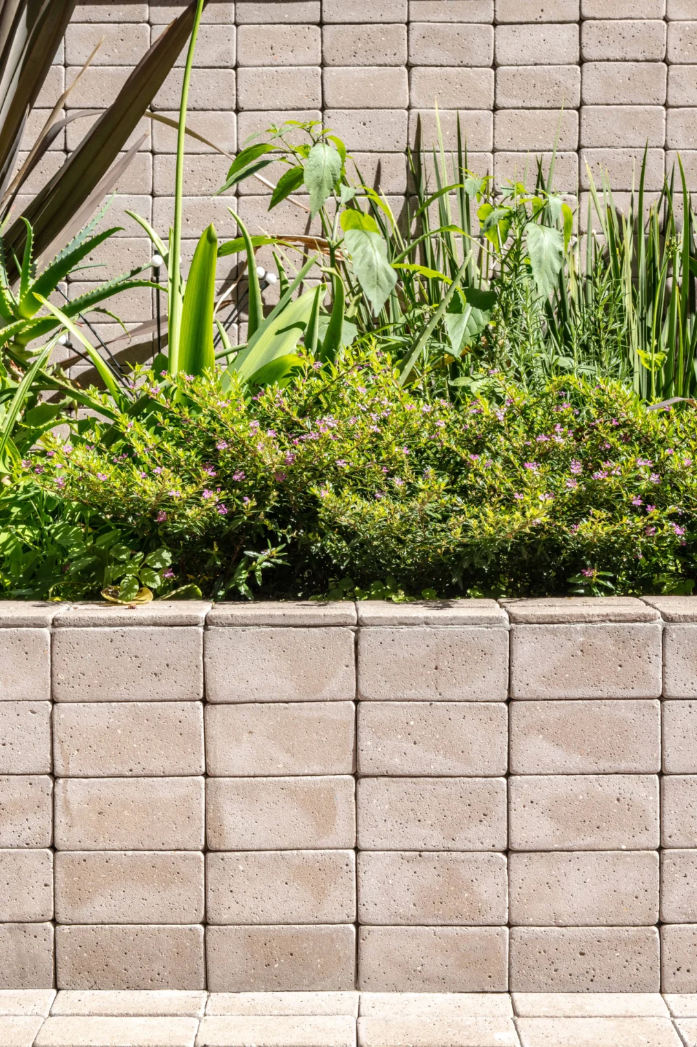 Detalhe de canteiro elevado e muro de fundo revestidos em lajotas cerâmicas tipo tijolinho, abrigando paisagismo com folhagens verdes e pequenas flores.