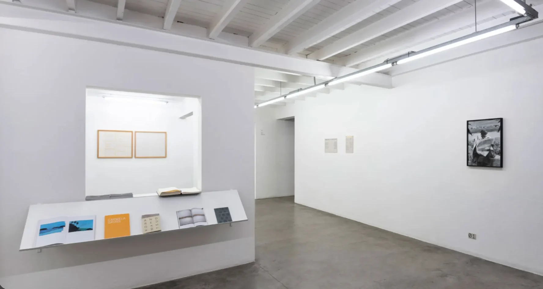 Vista interna da Galeria Vermelho mostrando abertura na parede com expositor inclinado de livros, iluminação tubular e quadros emoldurados ao fundo.